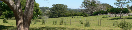 Maleny