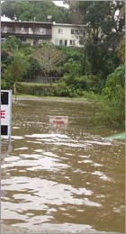 Regional disaster managment plan
