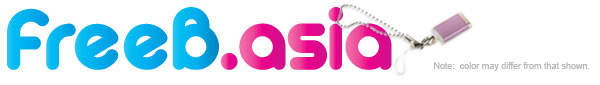 Free USB stick for every .asia registration