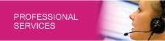 Professional Services